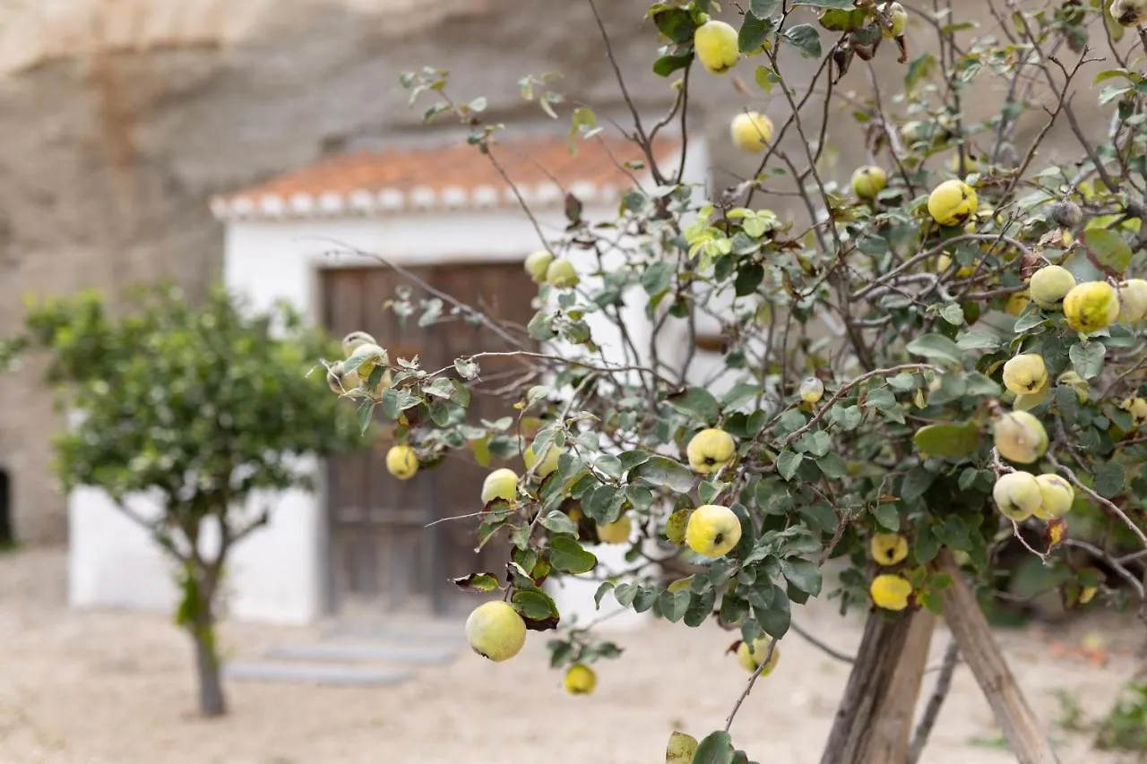 Villa L2Alma Granadilla De Abona